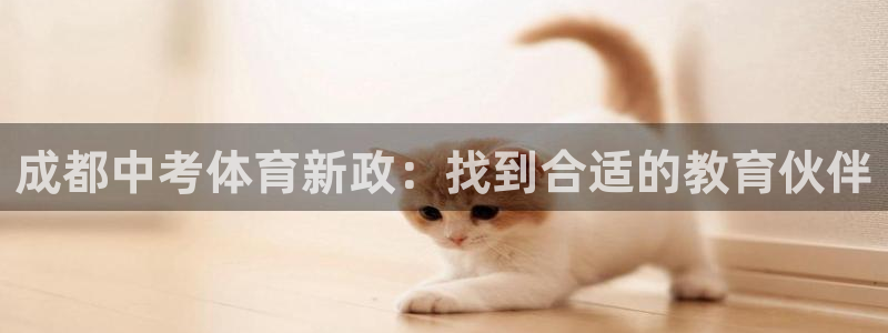 尊龙凯时代理官网入口