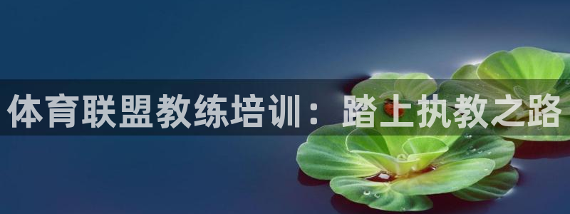 尊龙新版人生就是博!：体育联盟教练培训：踏上执教之路