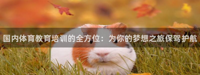 尊龙信息科技有限公司