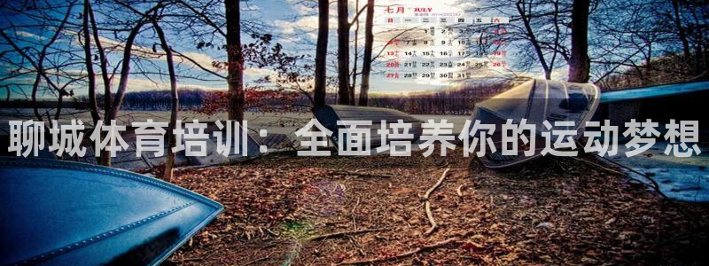 d88尊龙官网手机app
