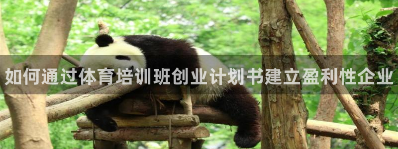 尊龙客服：如何通过体育培训班创业计划书建立盈利性企业
