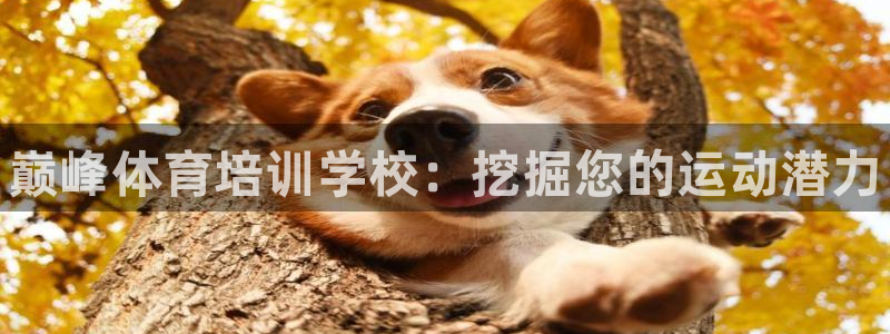 尊龙凯时是不是合法：巅峰体育培训学校：挖掘您的运动潜力