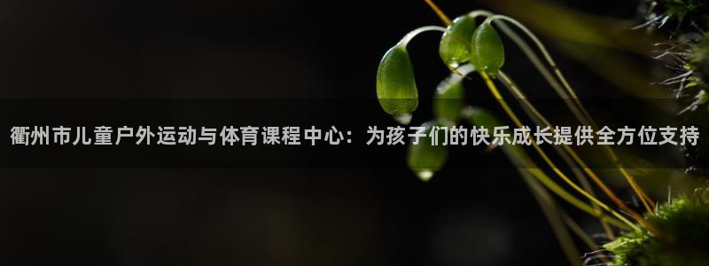 凯时平台怎么样