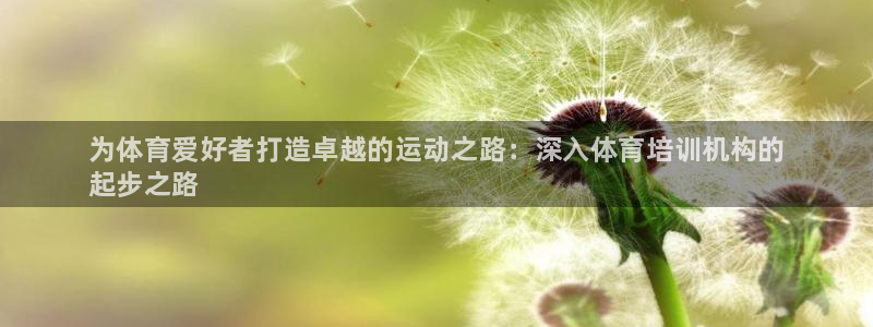 尊龙官网注册：为体育爱好者打造卓越的运动之路：深入体