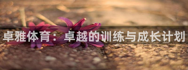 尊龙凯时俱乐部：卓雅体育：卓越的训练与成长计划