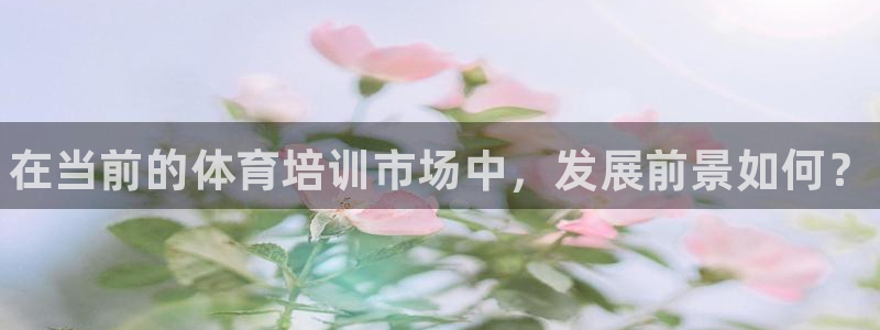 尊龙官方平台：在当前的体育培训市场中，发展前景如何？