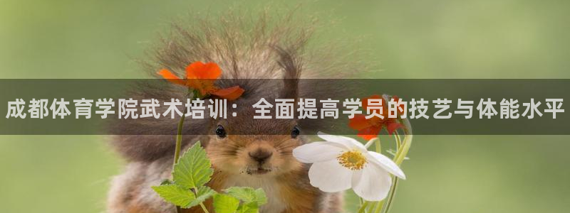 z6尊龙官方网站：成都体育学院武术培训：全面提高学员