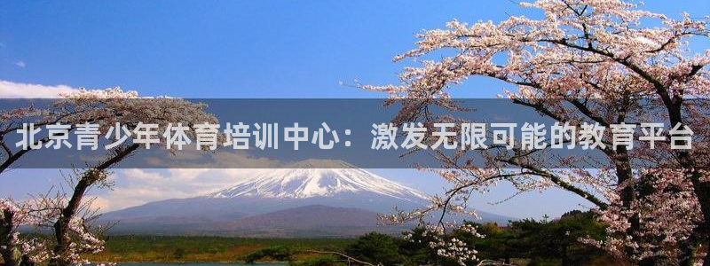 凯时平台app：北京青少年体育培训中心：激发无限可能