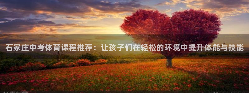 尊龙凯时取钱很慢：石家庄中考体育课程推荐：让孩子们在