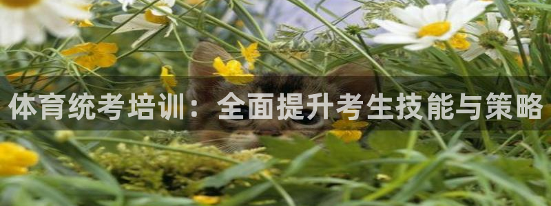 凯时国际官方版：体育统考培训：全面提升考生技能与策略