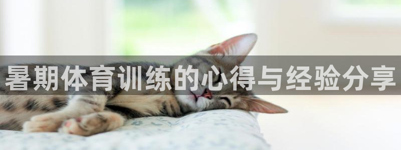 尊龙AG旗舰厅APP：暑期体育训练的心得与经验分享