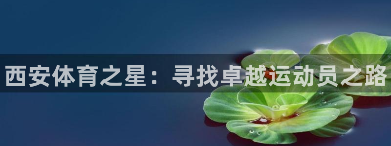 尊龙最经典的三个角色