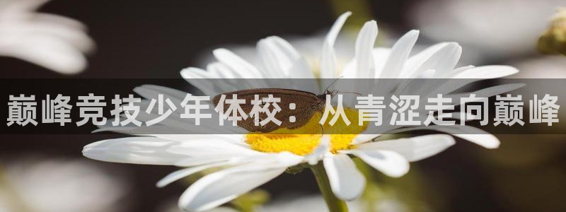 尊龙人生就是博首页