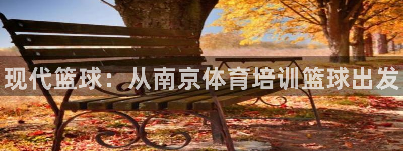 尊龙d88官网登录：现代篮球：从南京体育培训篮球出发