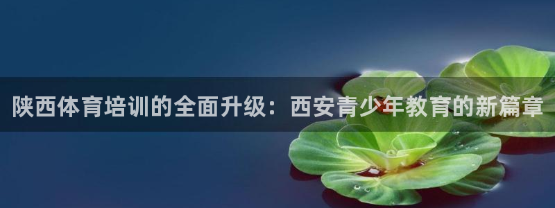 尊龙人生就是博手机版下载：陕西体育培训的全面升级：西安青少年